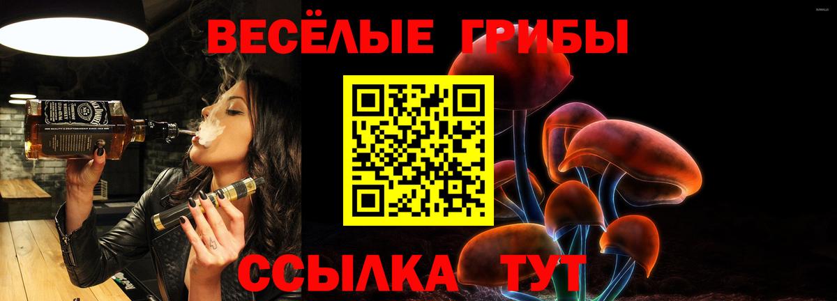 Псилоцибиновые грибы Psilocybine cubensis  Галлюциногенные грибы ЛСД  Туапсе  Вход с VPN 