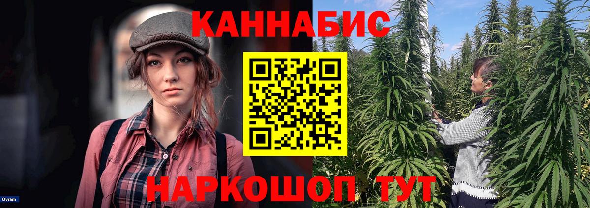 МАРИХУАНА сатива Туапсе